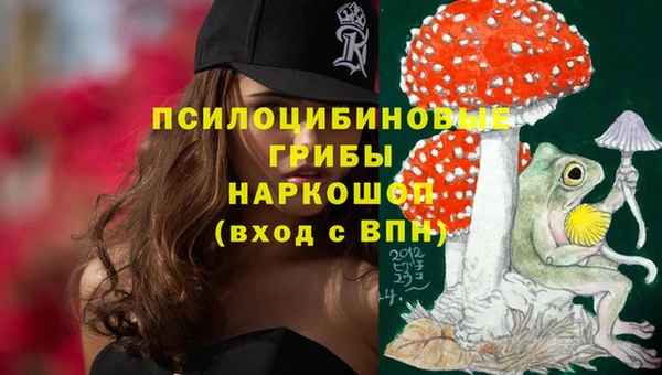 а пвп мука Новозыбков