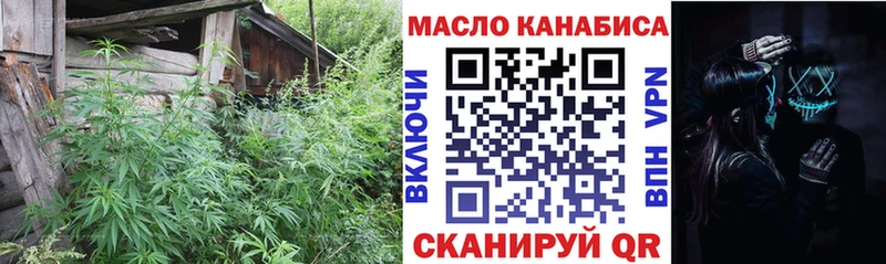 как найти наркотики Нарткала Дистиллят ТГК гашишное масло