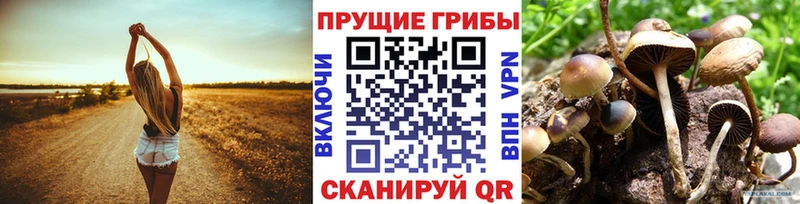 Галлюциногенные грибы мицелий  Нарткала 