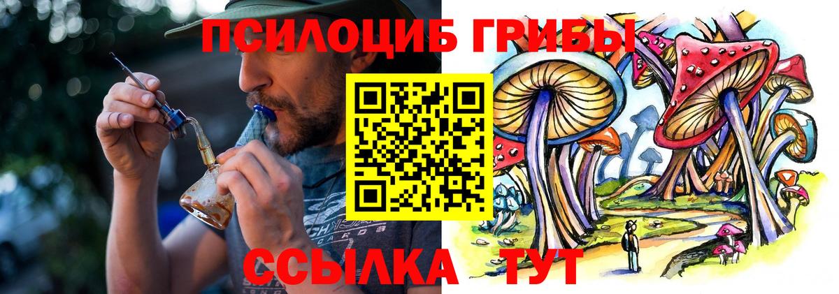 Псилоцибиновые грибы ЛСД  наркотики  Псилоцибиновые грибы прущие грибы  Нарткала  Вход с VPN 